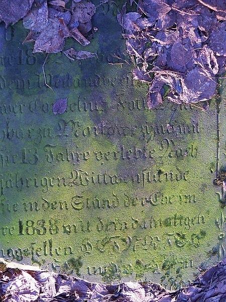 Fragment tablicy
