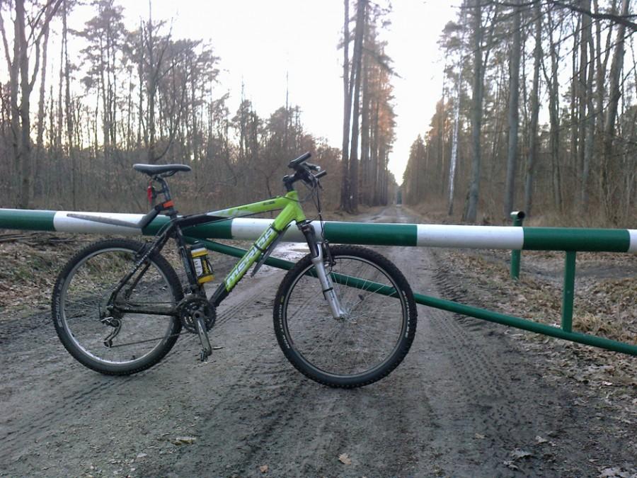 Lubię tę drogę w Chojnowkim PK