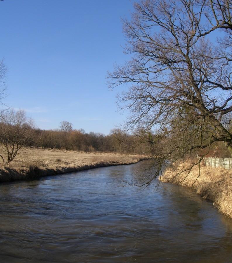 Bystrzyca na Jarnołtowie