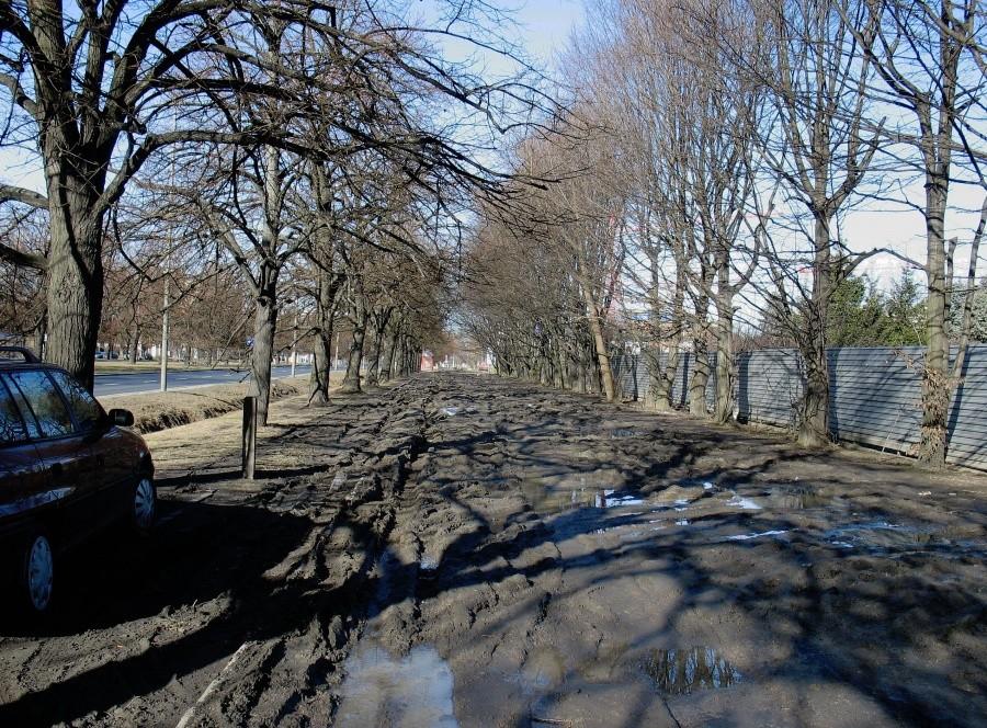 Ścieżka rowerowa wzdłuż ul. Żwirki i Wigury