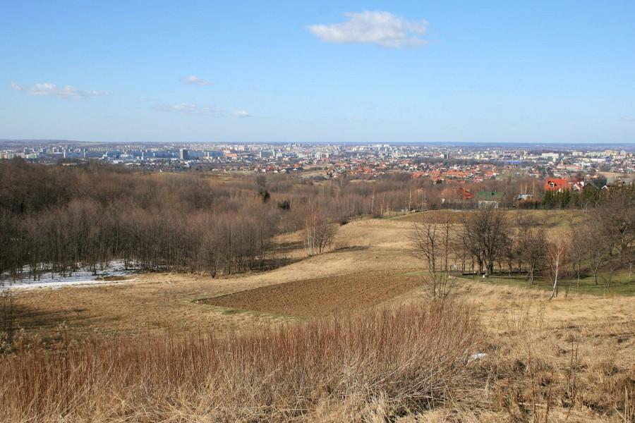 Rzeszów widziany ze Słociny