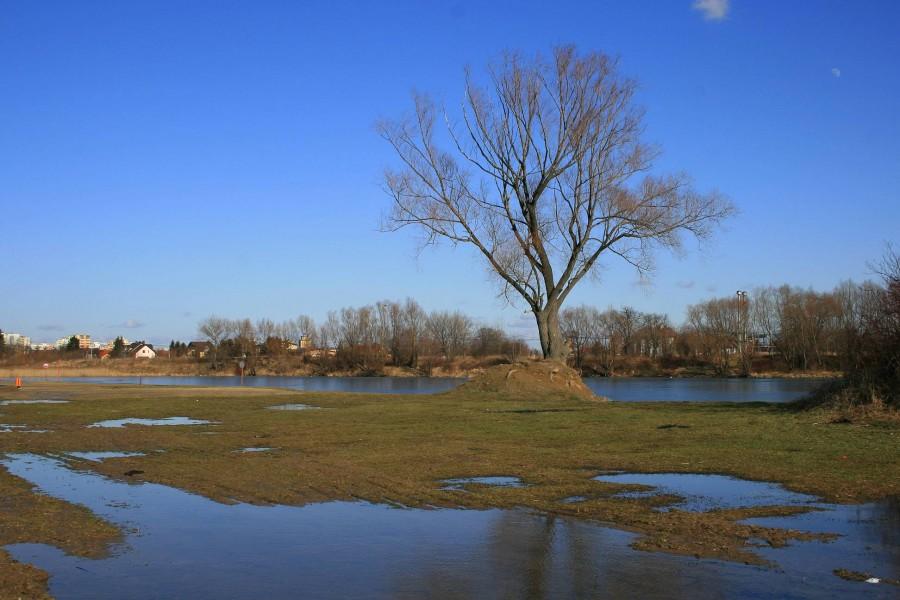 Na żwirowni