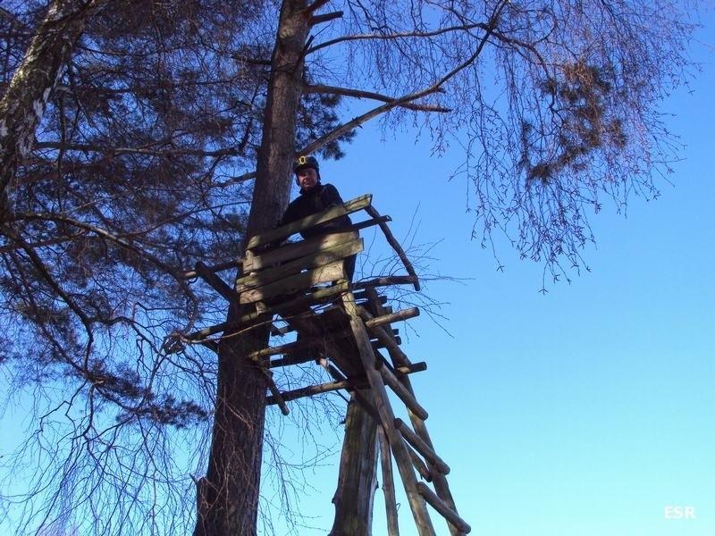 Akcja "Ambona"