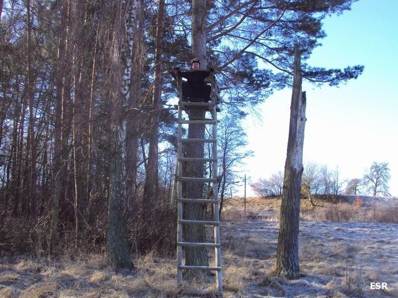 Akcja "Ambona"