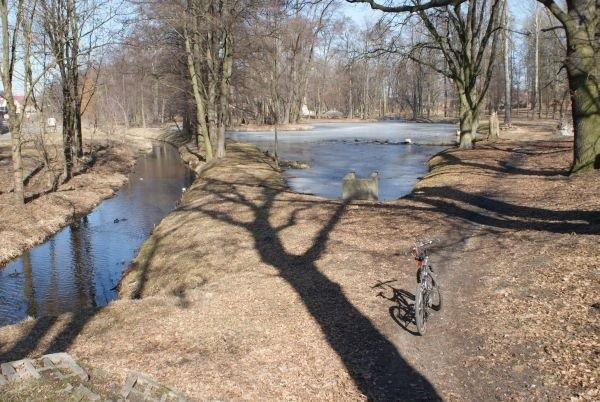 na terenie parku w Ujeździe