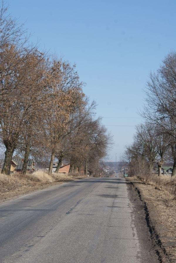 punkt widokowy, w oddali już widać kominy Wistomowskie w Tomaszowie