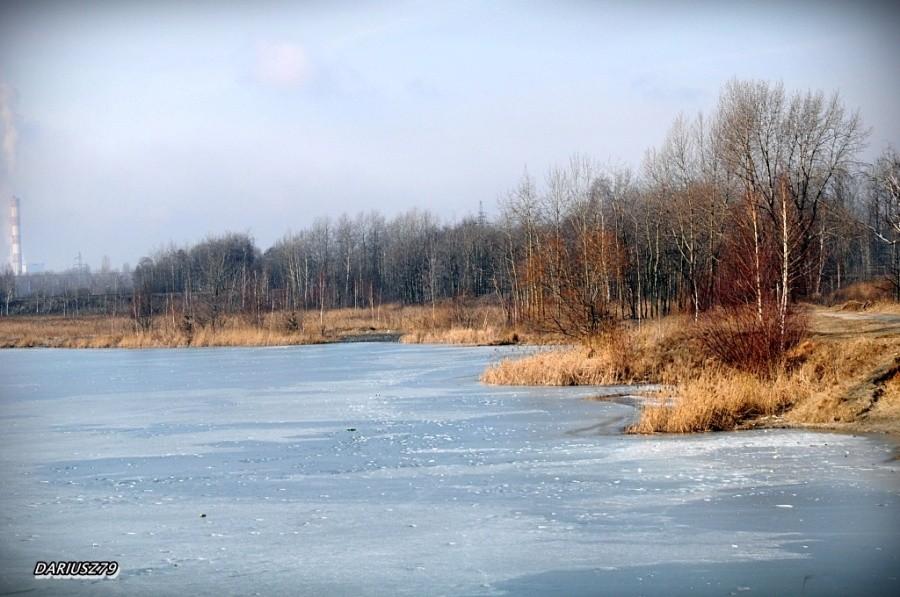 Staw Hubertus - Mysłowice