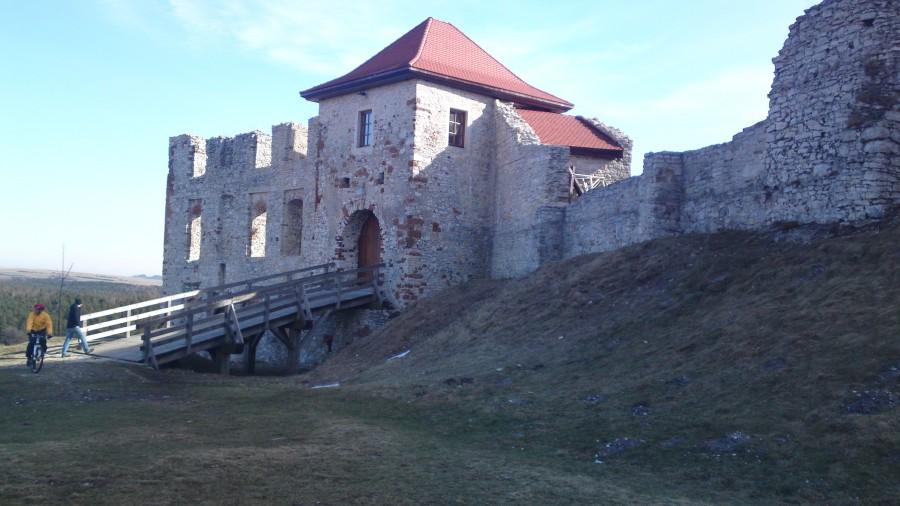 Zamek w Rabsztynie