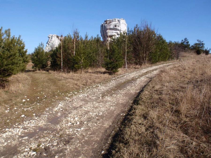 Skałki koło Olsztyna