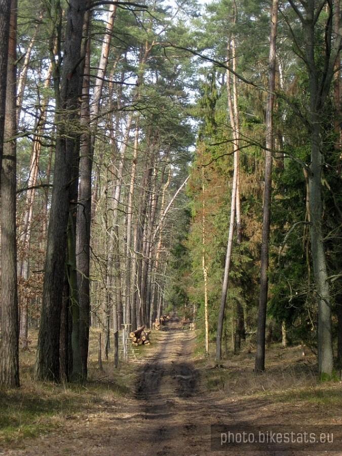 utęskniony widok