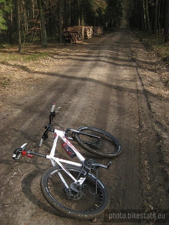 wilotne drogi leśne
