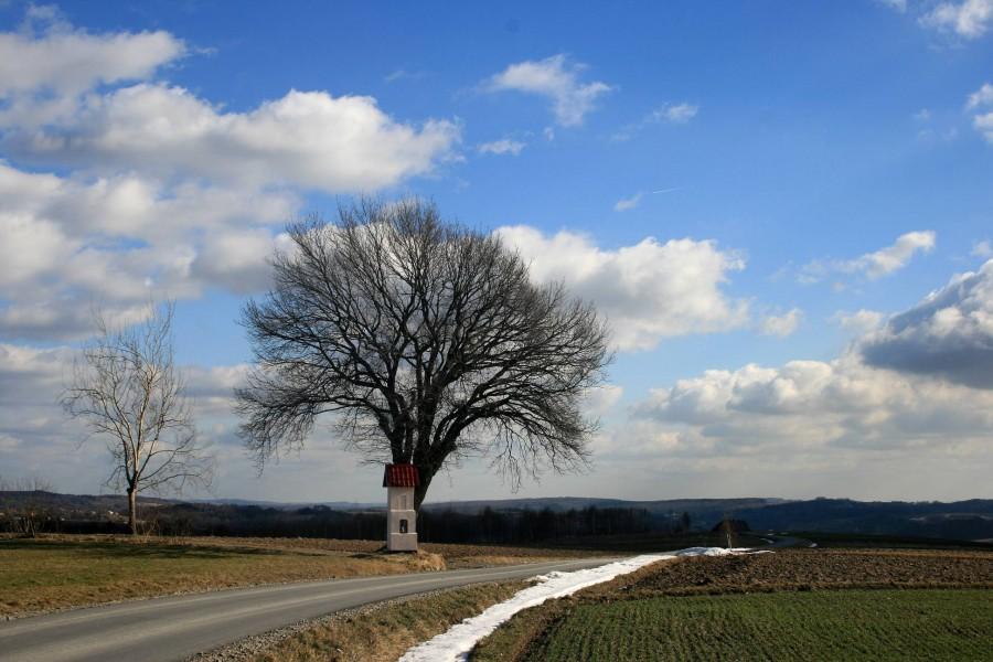 Gdzieś przed zjechaniem do Chmielnika