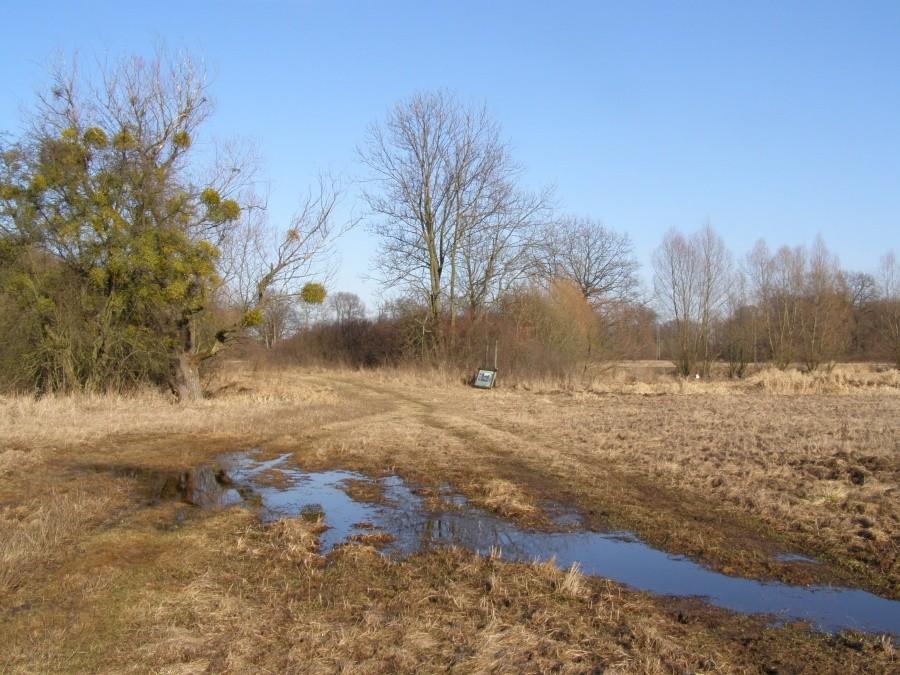 Łąka nad Bytrzycą
