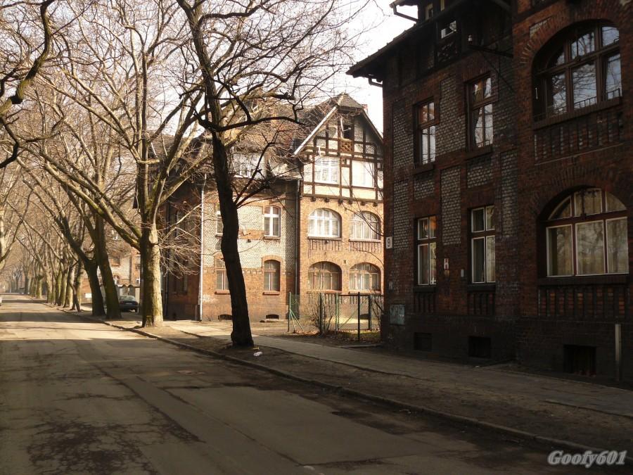 Aleja platanów.