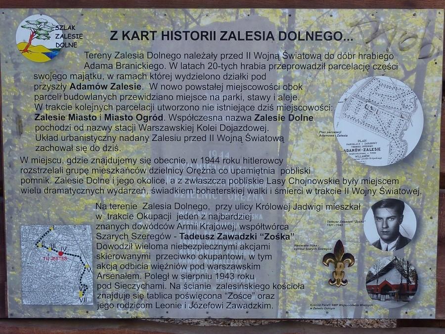 W Zalesiu Dolnym