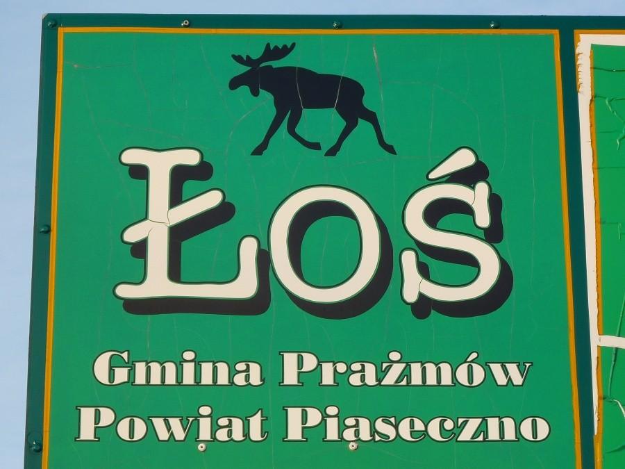 Miejscowość o wdzięcznej nazwie: Łoś