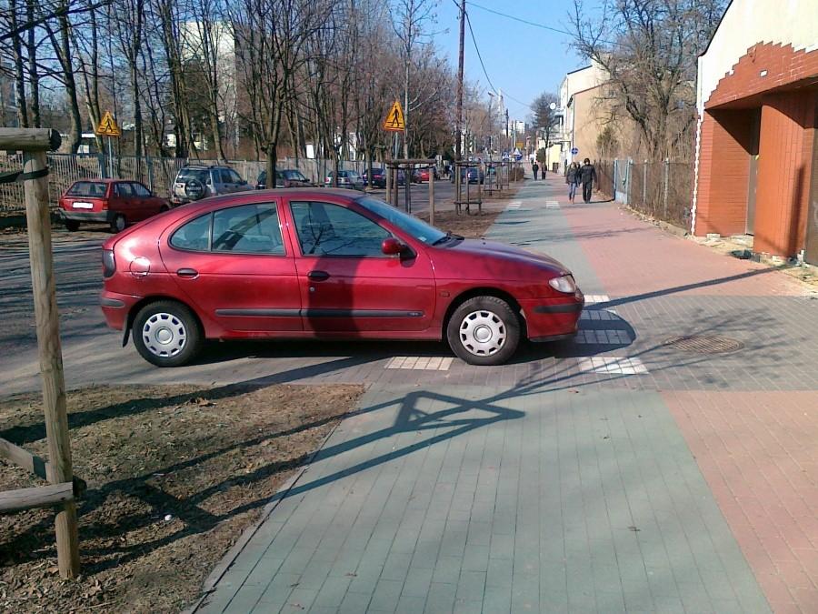 Kolejny baran na ścieżce.