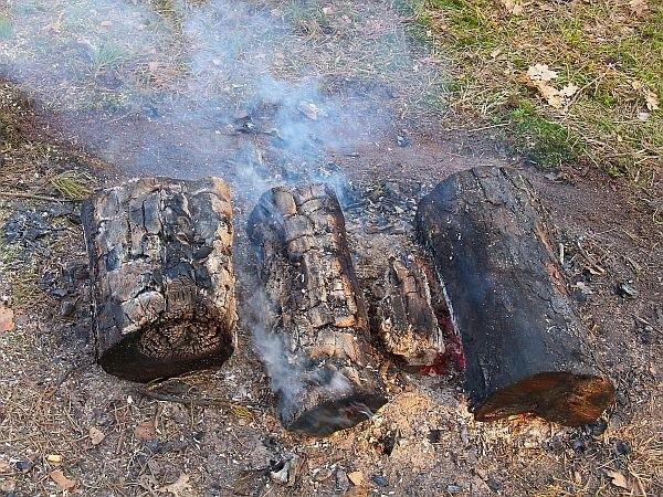 Ognisko w lesie pozostawione przez drwali