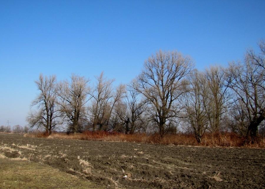 Czechy, gdzieś nad Odrą