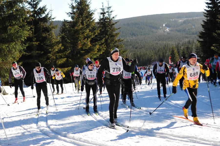 XXXVI Bieg Piastów - 50CT (z1)