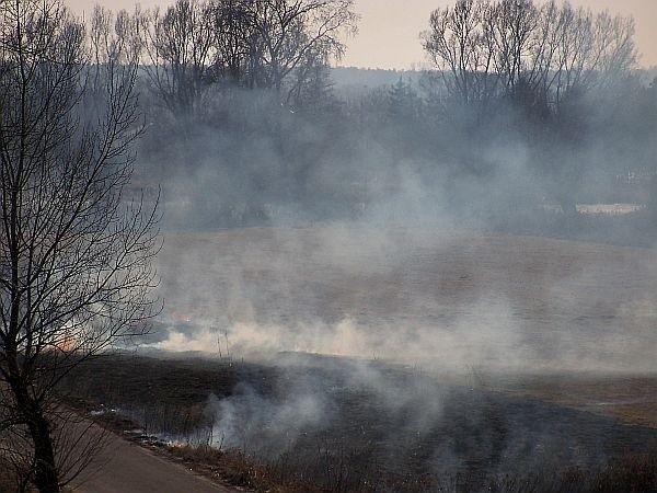 Początek sezonu wypalania traw