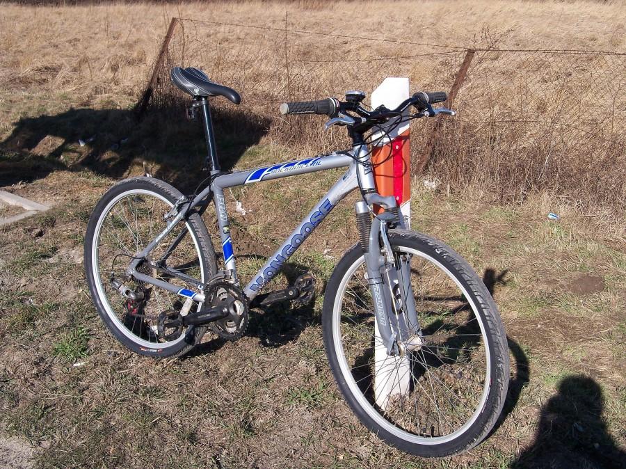 Mongoose