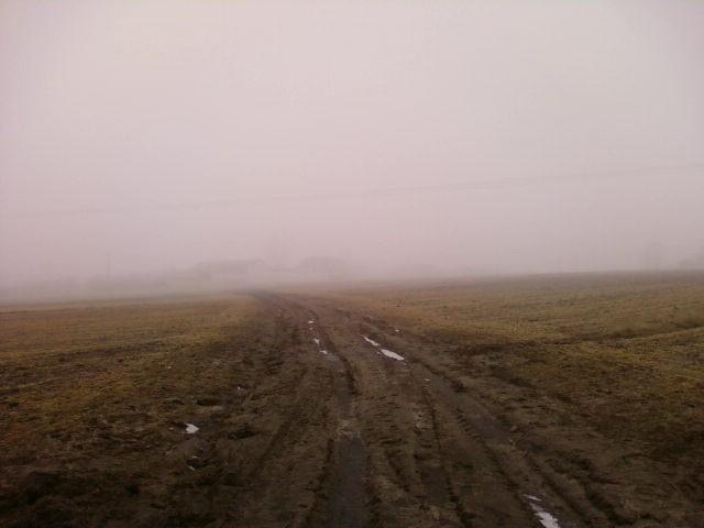 Zamglona polna droga