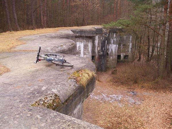 Fort V Dębina