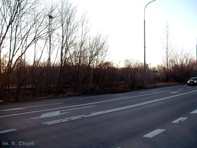 Bocznica do Szpotańskiego (2)