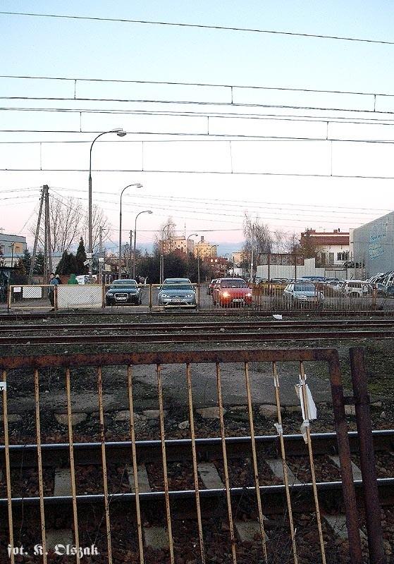 Podzielona Korkowa