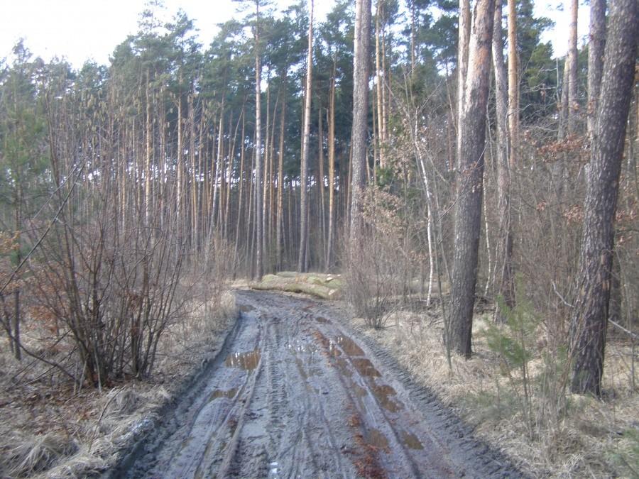 Błoto 1