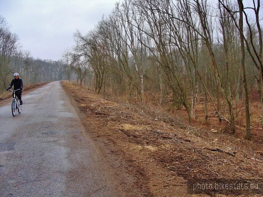 Las Mątowski.