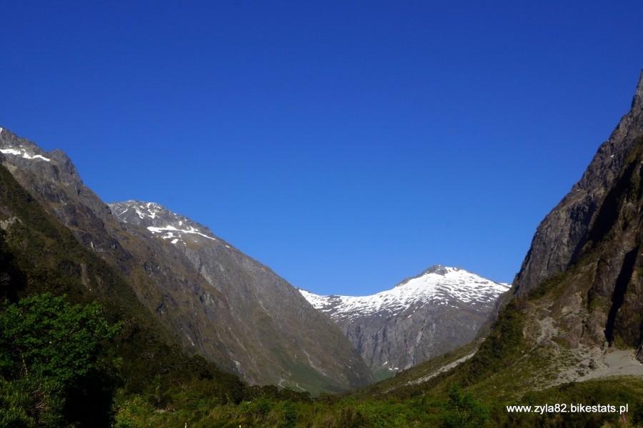 Fiordland IV
