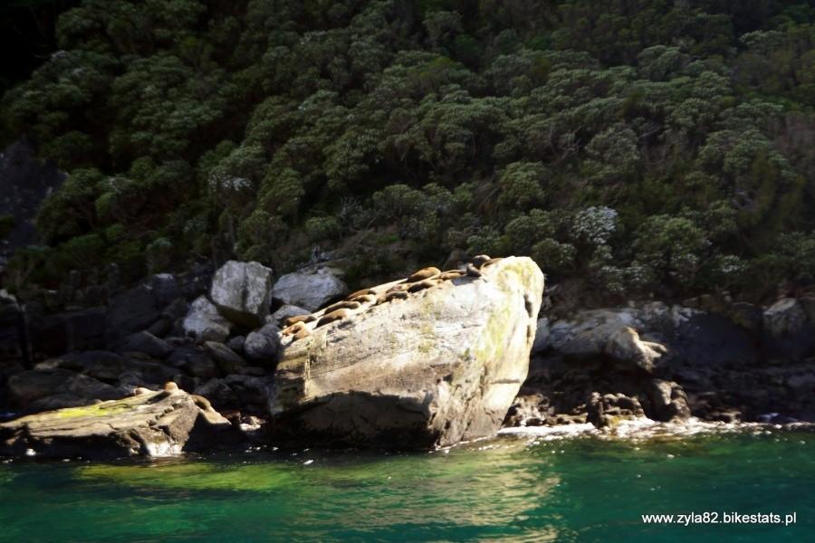 Milford Sound III