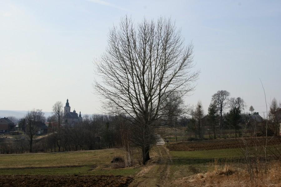 Jadąc przez Zgłobień