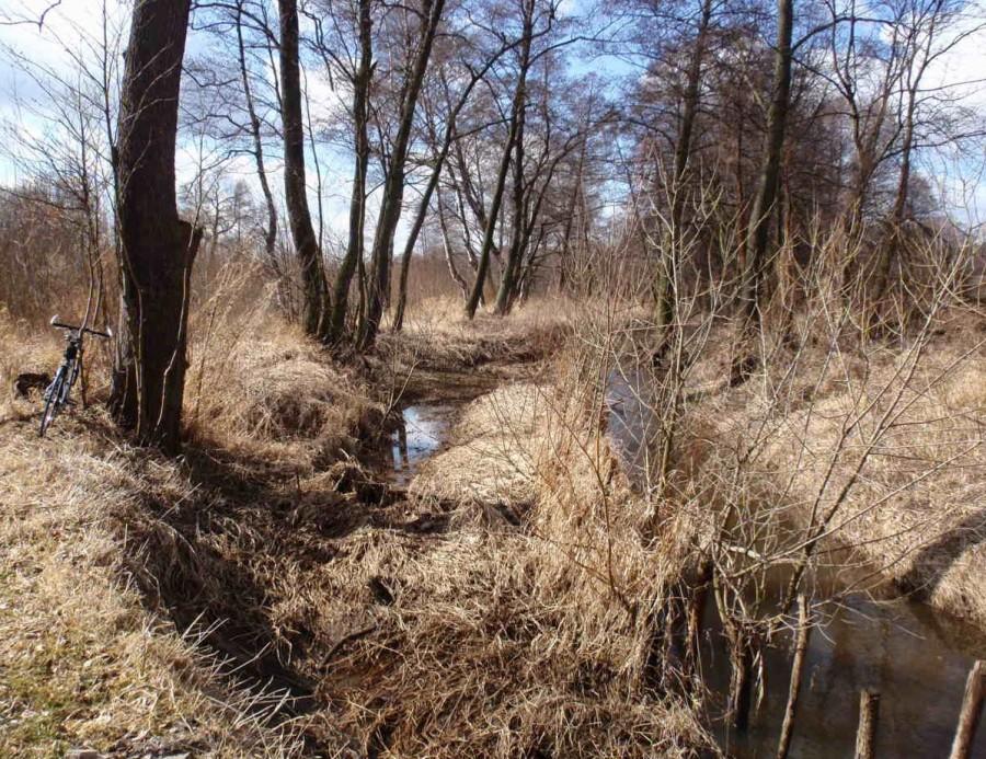 Widoczek z okolic Zawady