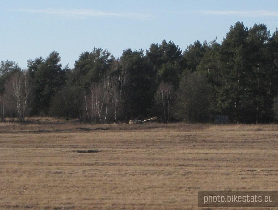 Czołg się zaczaja