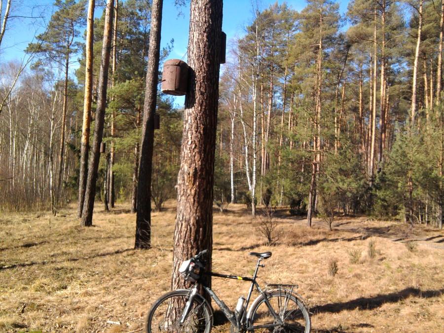 Kraina budek lęgowych na szlaku do Głęboczka