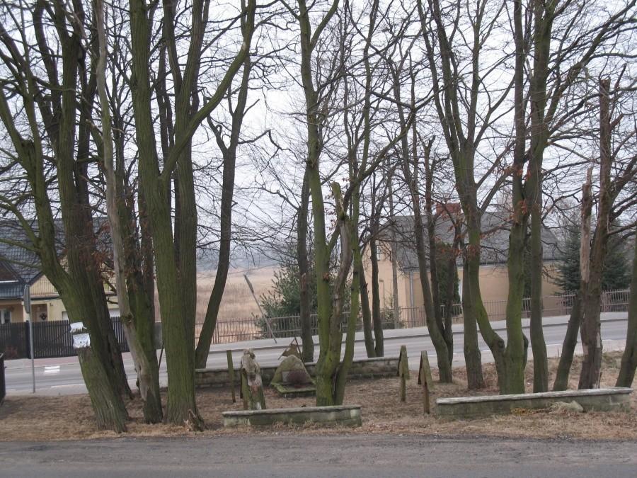 cmentarzyk w Gołkowie Zielonej