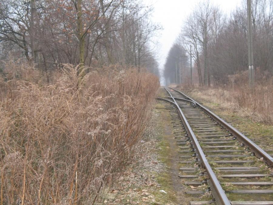 zwrotnica wjazdowa nieistoniejącego przystanku w Głoskowie