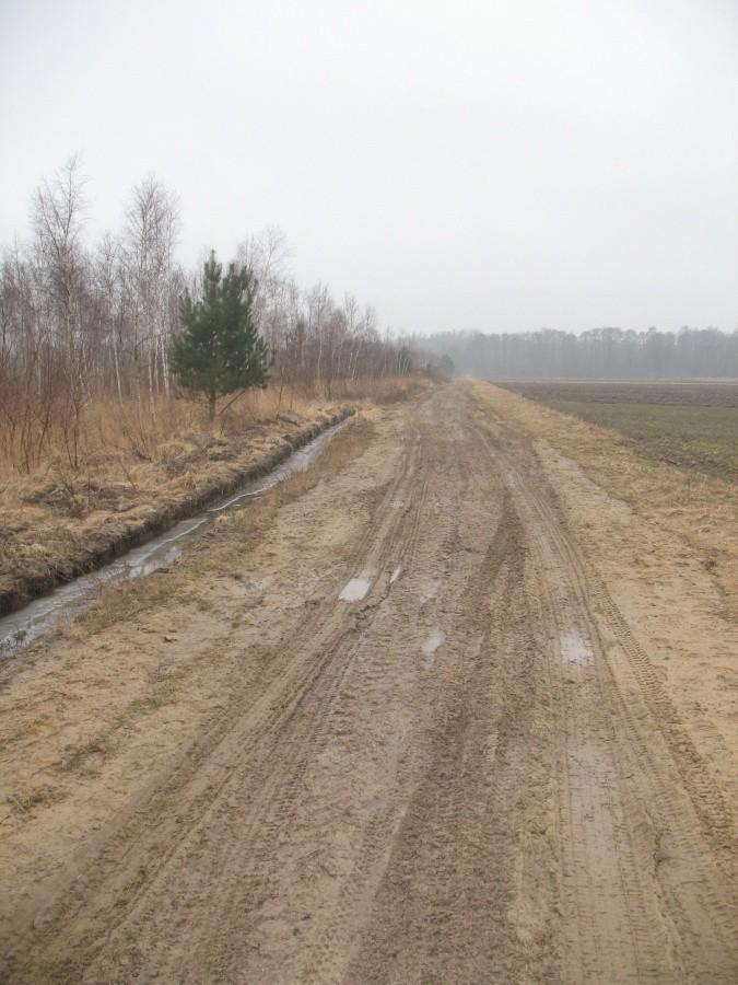 czerwony szlak okrężny Warszawy- runowskie ugory