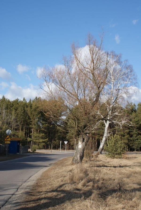 mnóstwo tutaj zakrętów