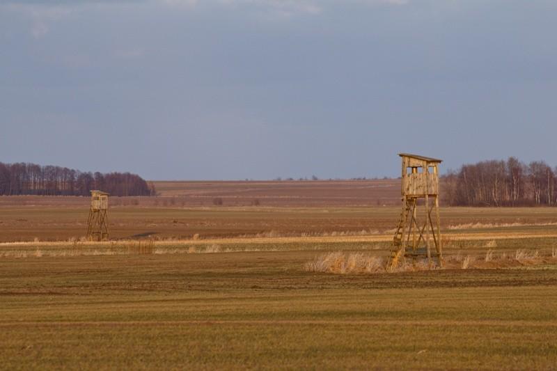 Ambony, płaskowyż tarnogrodzki.