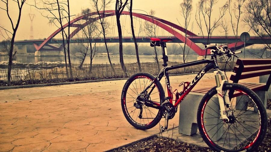 Rower na bulwarze z widokiem na most