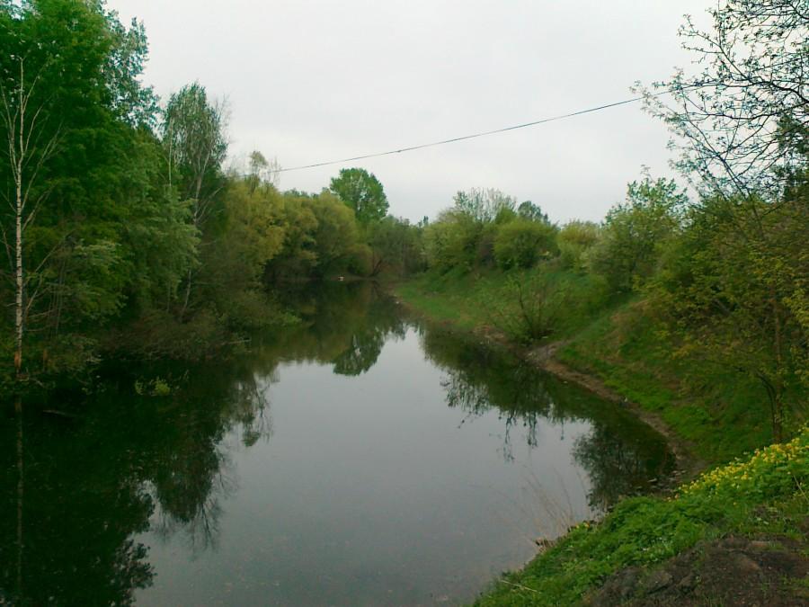 Fosa