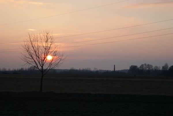 lubię Cię :)