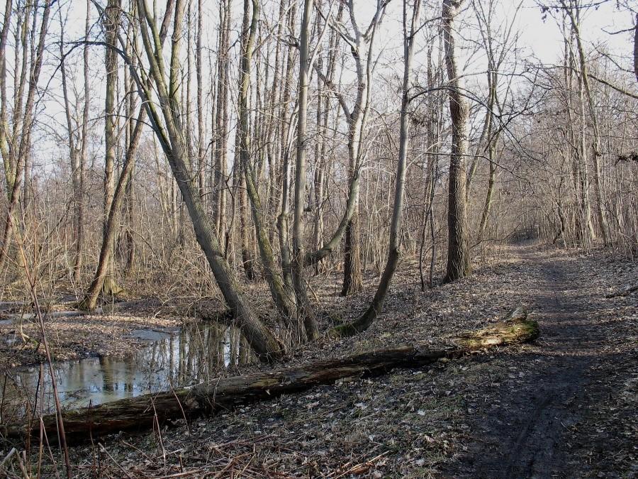 Ścieżka pod skarpą
