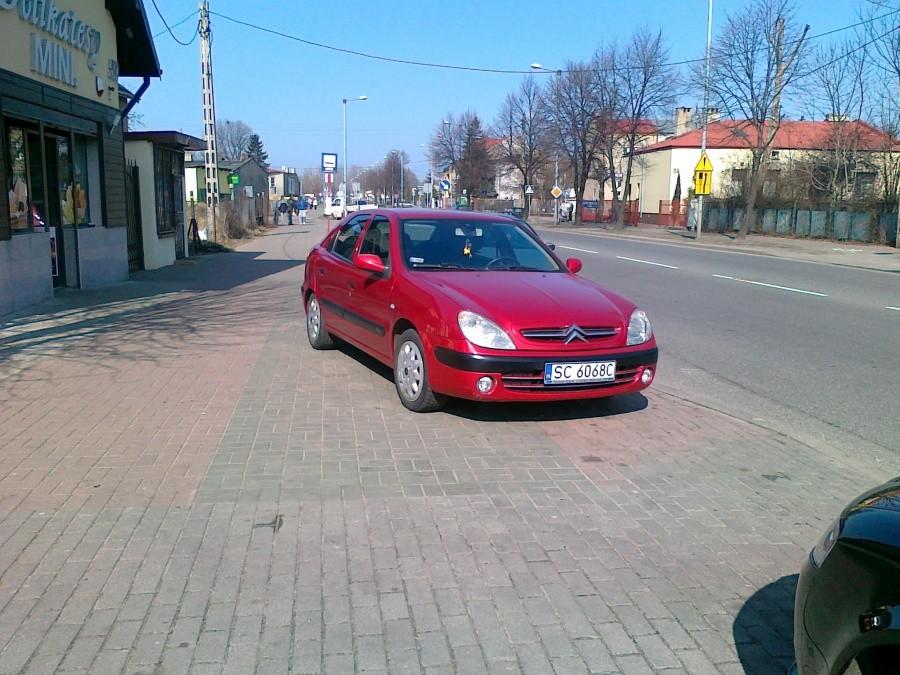 Burak na ścieżce I