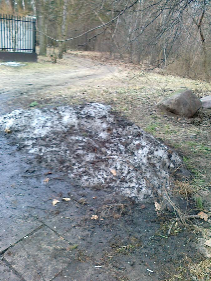 Ostatnie ślady zimy