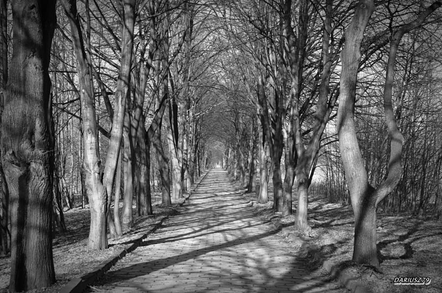 Dąbrowa Górnicza - Ząbkowice